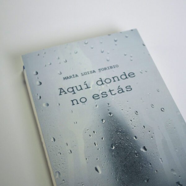 <strong>AQUÍ DONDE NO ESTÁS</strong> MARÍA LUISA TORIBIO