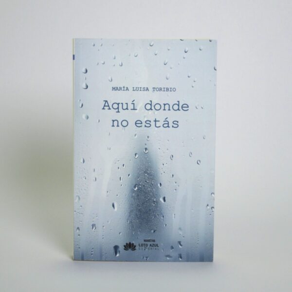<strong>AQUÍ DONDE NO ESTÁS</strong> MARÍA LUISA TORIBIO - Imagen 2